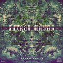 Bizzare Frequency - Shaman Original Mix