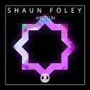 Shaun Foley - Medellin Original Mix
