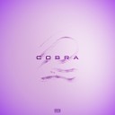 ENDIGA - Cobra Club Remix