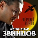 Александр Звинцов - Юность