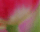 #u5e71587b7bs#