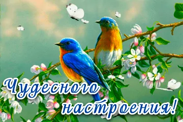 Tapтaлeтки & Ко