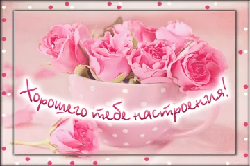 Tapтaлeтки & Ко