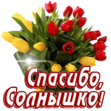 Спасибо солнце любимое. Спасибо солнышко. спасибо солнышко моё. благодарю солнышко. спасибо солнце.
