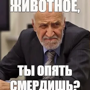 В мире животных Пикабу