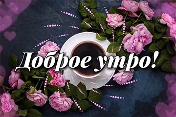 Tapтaлeтки & Ко