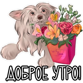 Супер кошка и собачка