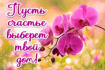 Tapтaлeтки & Ко