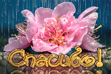 Tapтaлeтки & Ко