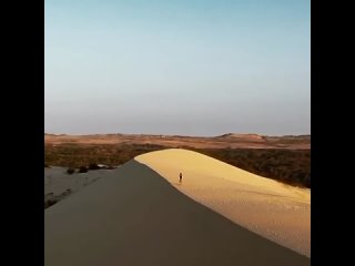 Вьетнам, Белые дюны

Представляют собой холмы из белого песка высотой где-то метров 70-80 и площадью около 10 км. Белые дюны Муй