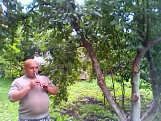 Курай - татарский национальный духовой музыкальный инструмент. Татарская мелодия.