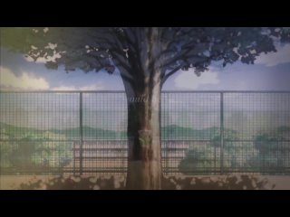 Mako x Haru x Rin Amv