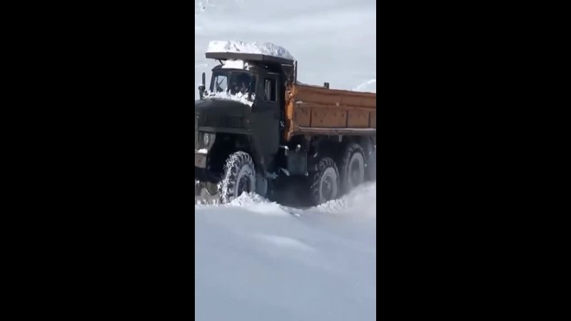 Урал и Трактор в