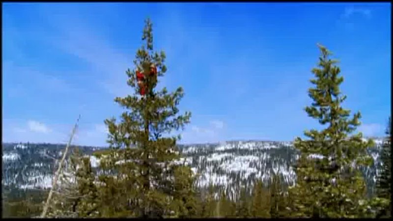 Jackass 3-The christmas tree (pin the tail on the donkey)