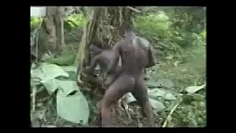 realnyy afrikanskiy seks part