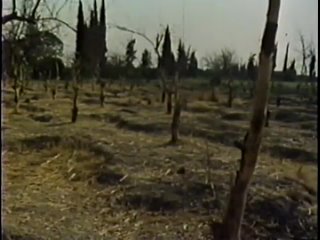 Occupied Palestine (1981) ( 360 X 476 ).mp4