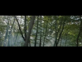 Музыка из рекламы Volkswagen  Человеку надо мало (2020) (3).mp4