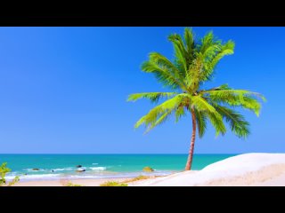 4K HDR - Tropical Beach  Gentle Lapping Waves - mindfulness, relaxing, meditation, nature - 1 hour