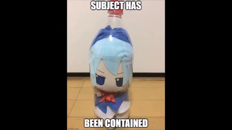 cirno escaped