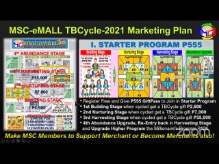 MSC-eMALL - Your Online Store Business Presentation.