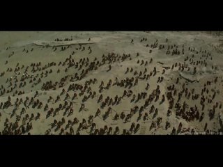 Фараон \ Faraon  1965 г.