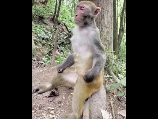 По утрам в автобусе ездят одни буддисты 😁 - Яна Грицюк