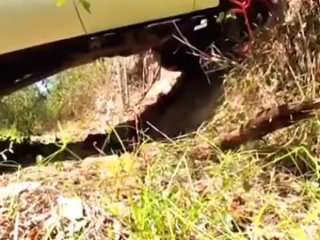 Видео от Меховые накидки чехлы из шерсти меха для авто
