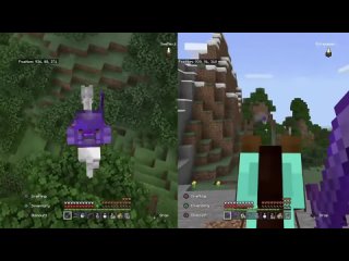 Minecraft beating the ender dragon