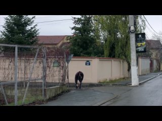 Vlad.S03.E03.1080p