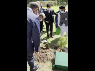 Лавров посадил кедр в Пакистане