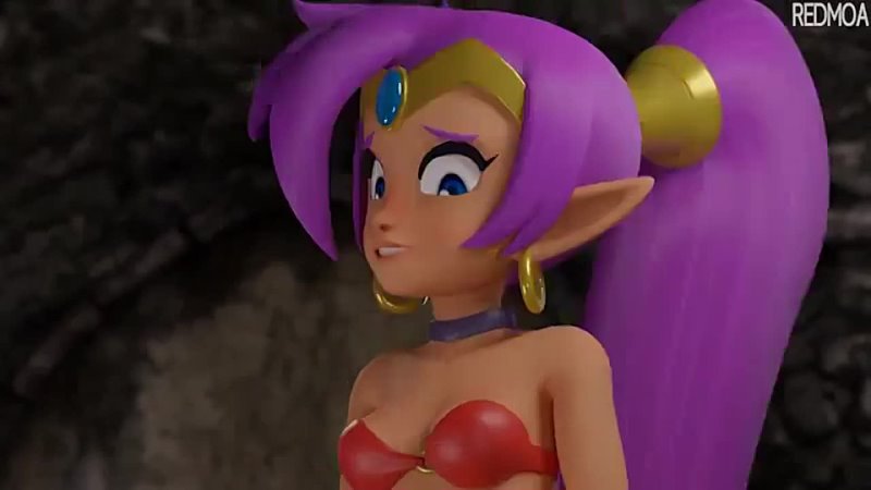 3D Game Porno Hentai Fuck Sex Shantae model Footfuck