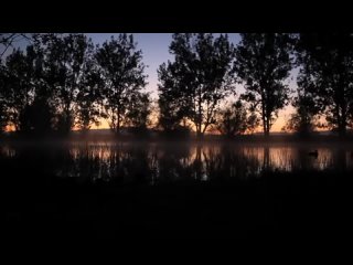 Нашид - Тоска(480P).mp4