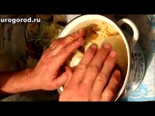 Как солить капусту ПИЛЮСКУ - рецепт на зиму (квашенная)