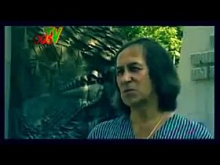 кто такие чеченцы