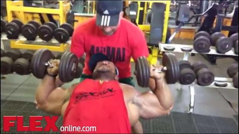 Real Raw Training with Roelly