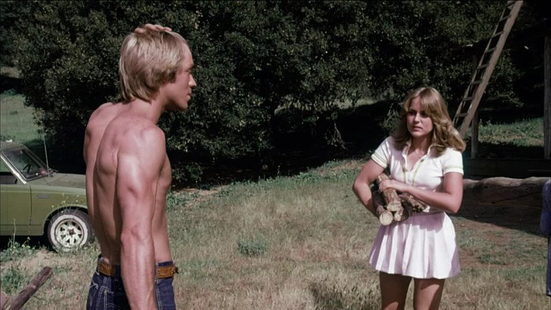 The Great American Girl Robbery (1979)engjish