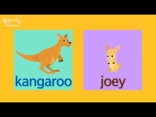Kids vocabulary - Baby Animals, Sea Animals, Bugs, Animal Sounds