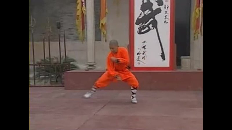 Shaolin Seven-star Mantis