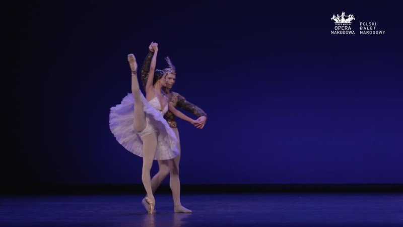 Polish National Ballet New Years Gala Part