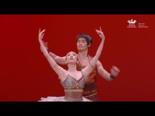 Polish National Ballet New Year's Gala - Part 2