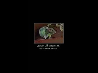 дорогой дневник