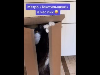 Метро в час пик