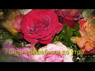 видеооткрытка_добрый_людям_добрый_вечер.mp4