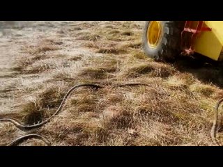 [Phila Truck Town] Пробный выезд на KOMATSU / Порвало гидравлику / Ремонт в полевых условиях