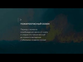 Видео ПОП.mp4