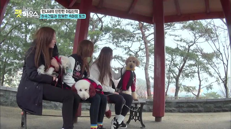 SHOW 150317 Secret SBS MTV Sonamoo Pet s House ep.