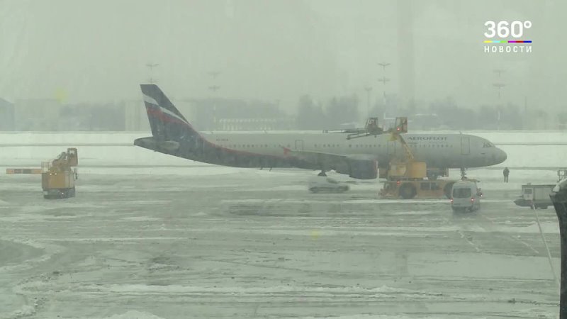 Аэрофлот не довез собаку живой бульдог умер