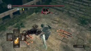 DS1 PVP Master