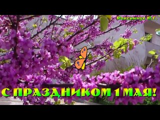 видеооткрытка_поздравляю_с_1_мая_праздником.mp4