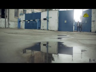 Ори!Зона! - Выйду я за запретку